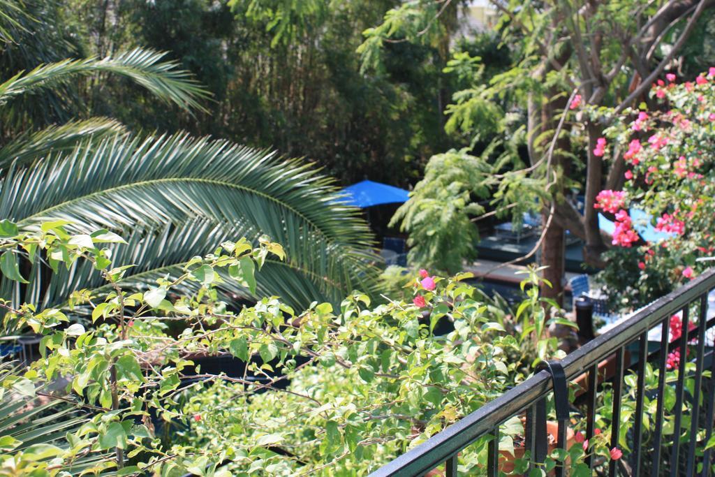 The Green House Inn New Orleans Ngoại thất bức ảnh
